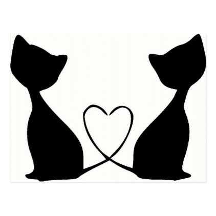 Cats with heart, black and white postcard