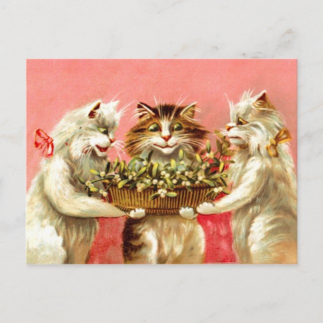 Cats with Mistletoe Postcard (Front)