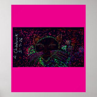 Cat's Wonderland Poster