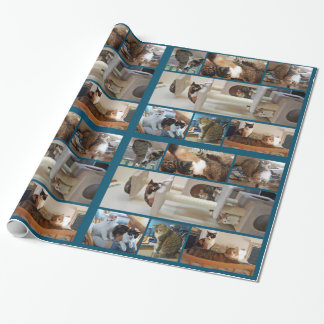 Cats Wrapping Paper