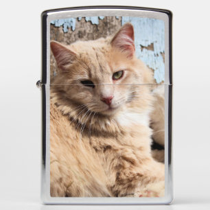 Cats zippo lighter