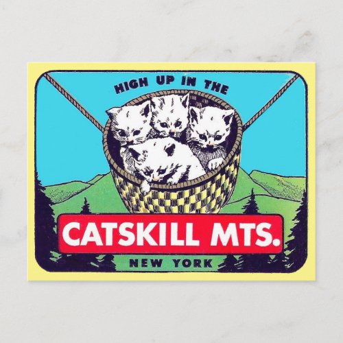 Catskill Mountains New York  Postcard