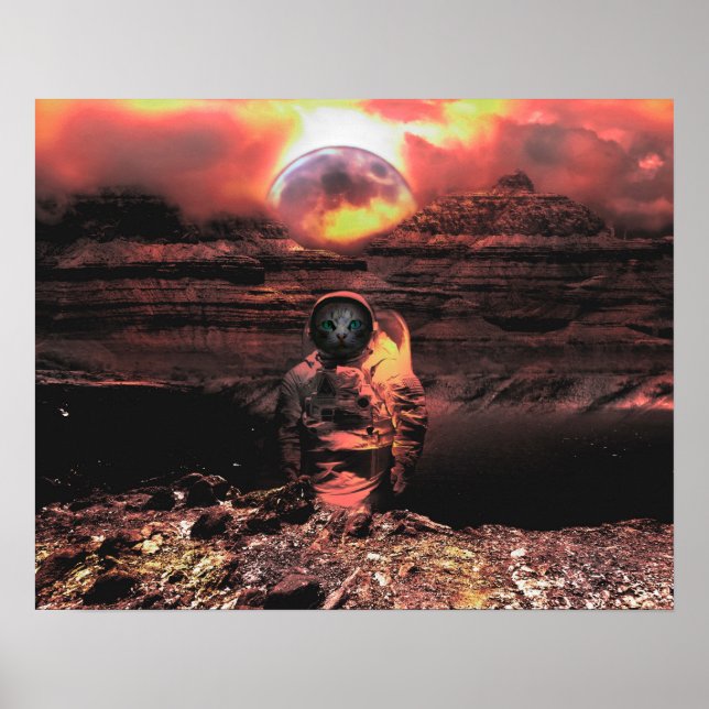 Catstronaut Poster (Front)