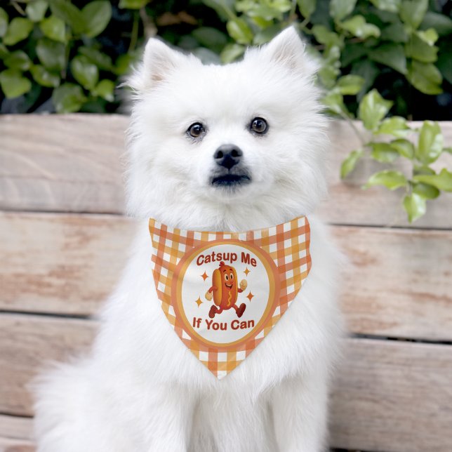 Catsup Me If You Can Funny Hot Dog – Ketchup Pun Pet Bandana Collar (Dog)