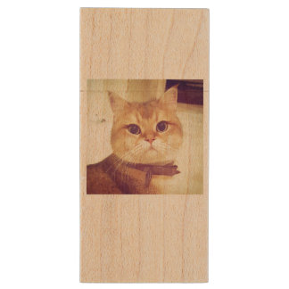 Catsy USB Key Wood USB Flash Drive