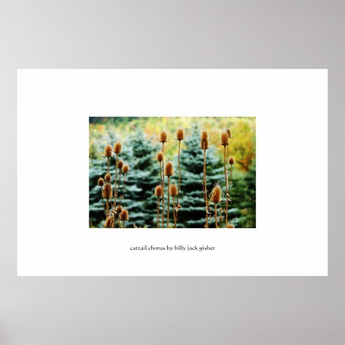 Cattail Chorus   autumnal limited edition poster