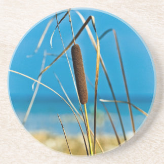 Cattail on a Sunny Beach Coaster