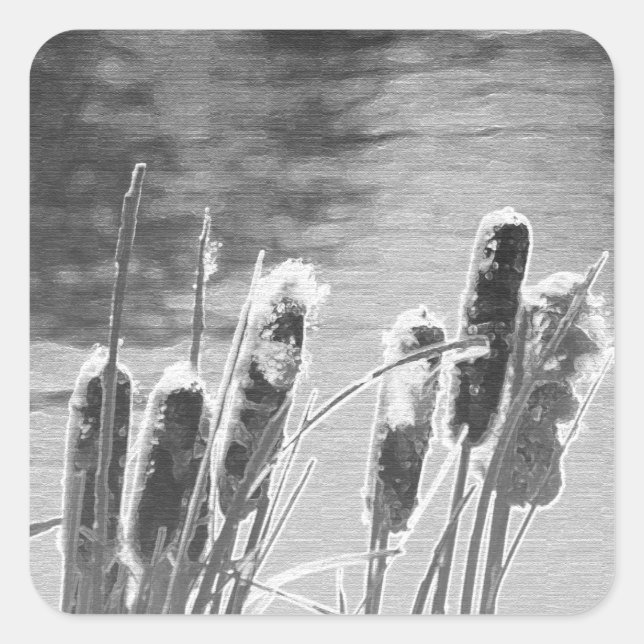 Cattails by the Pond in Black and White Square Sticker (Front)