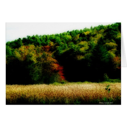 Cattails in New England in Autumn Cards (Front Horizontal)