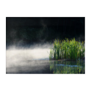 Cattails In The Mist On A Pond Orton Acrylic Print
