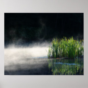 Cattails In The Mist On A Pond Orton Art Poster