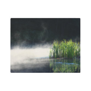 Cattails In The Mist On A Pond Orton Metal Print