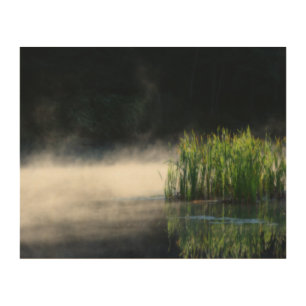 Cattails In The Mist On A Pond Orton Wood Wall Art