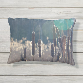 Cattails in the Sun Pillow 16 X 12