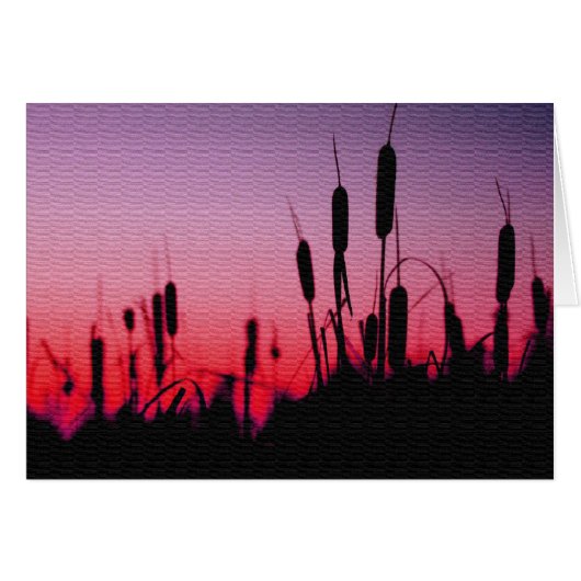 Cattails in the Sunset Cards (Front Horizontal)