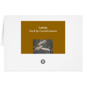 Cattails Note Card (Back Horizontal)