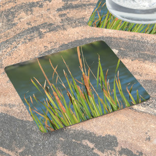 Cattails on the Waterfront Photographic Lake Square Paper Coaster