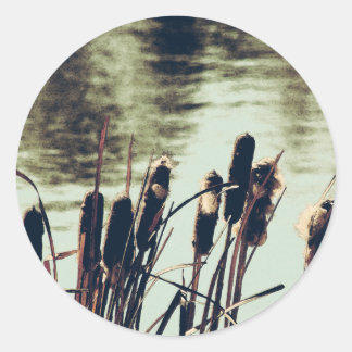 Cattails, Pond Plants Classic Round Sticker