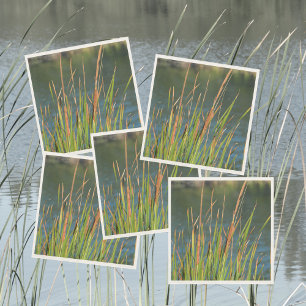 Cattails Waterfront Photographic Lake Napkins