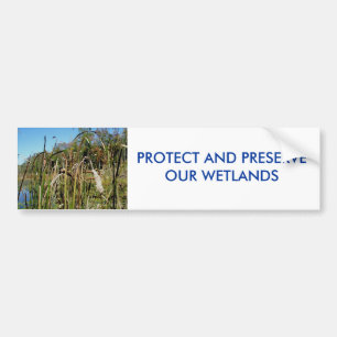 Cattails WETLANDS Bumper Sticker