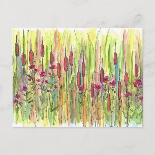 Cattails Wildflowers Meadow Watercolor Drawing Postcard (Front)