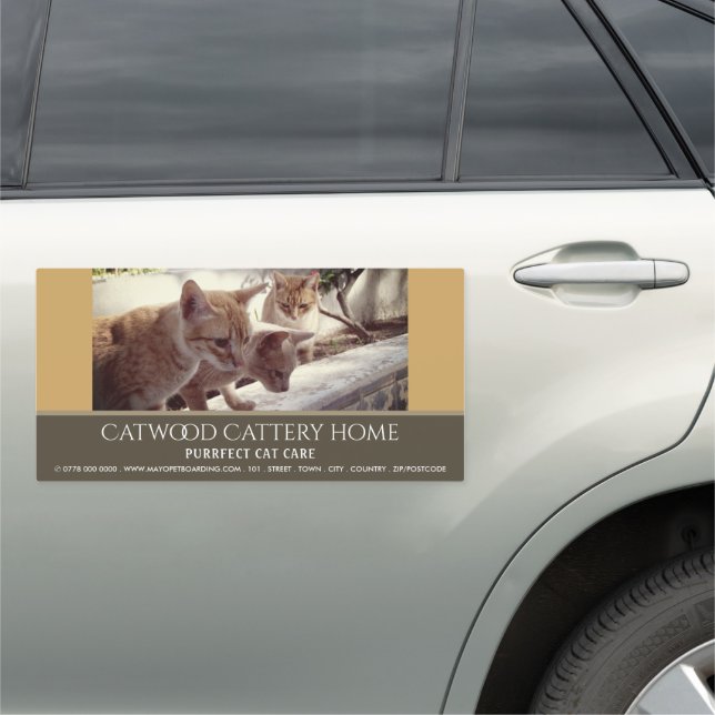 Cattery, Pet Boarding Service, Advertising Car Magnet (In Situ)