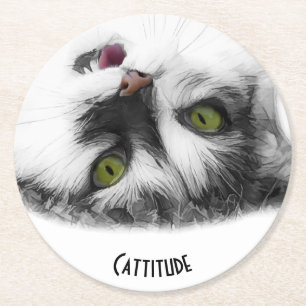 Cattitude funny cat customizable round paper coaster