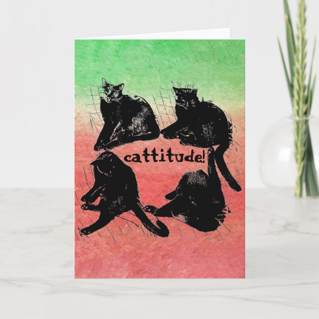 Cattitude!- Greeting Card (Front)