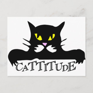 cattitude postcard
