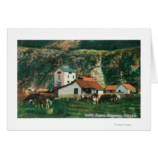 Cattle Amongst Barns SceneSkagway, AK Cards (Front Horizontal)