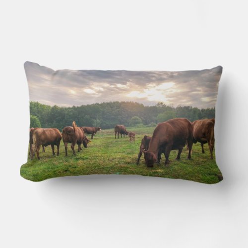 Cattle At Sunset Throw Pillow