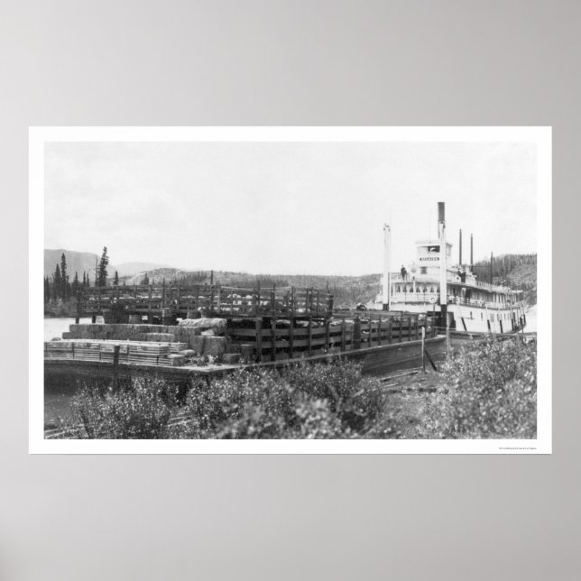 Cattle Barge Yukon River 1914 Poster (Front)