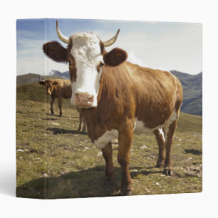 Cattle Binder