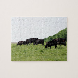 Cattle Black Angus Jigsaw Puzzle