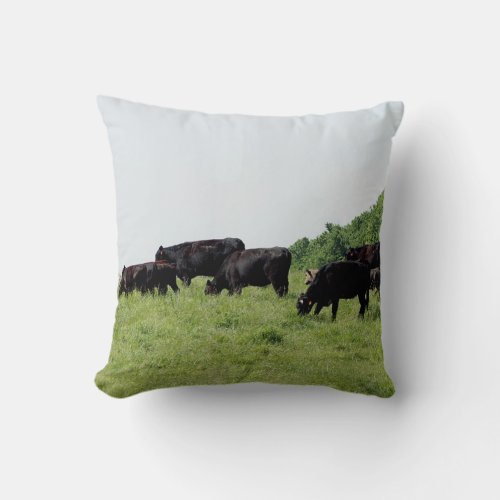 Cattle Black Angus Throw Pillow