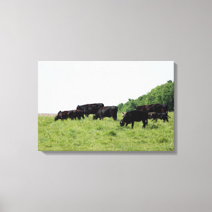 Cattle Black Angus Wrapped Canvas Print