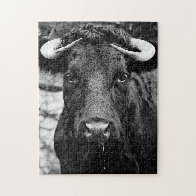 Cattle Black & White Jigsaw Puzzle (Vertical)