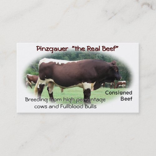 Cattle Business Card_ customize  add your photo Business Card