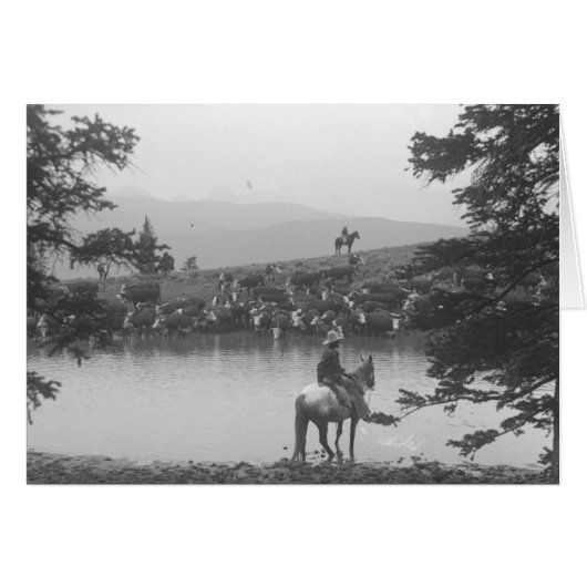 Cattle by a pond with two cowboys cards (Front Horizontal)
