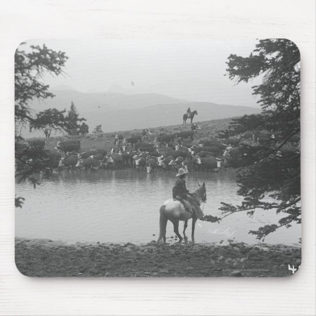 Cattle by a pond with two cowboys. mouse pad (Front)