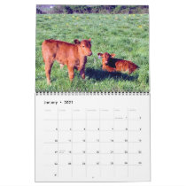 Cattle Calendar