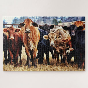 Cattle Color Variety Giant Puzzle