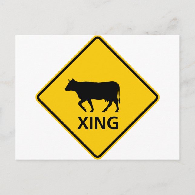 Cattle Crossing Highway Sign Postcard (Front)
