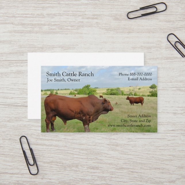 Cattle Dairy Farmer Business Card (Front/Back In Situ)