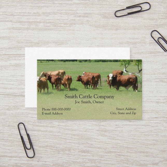 Cattle Dairy Farmer Business Card (Front/Back In Situ)