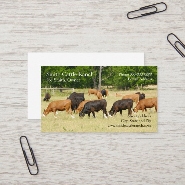 Cattle Dairy Farmer Business Card (Front/Back In Situ)