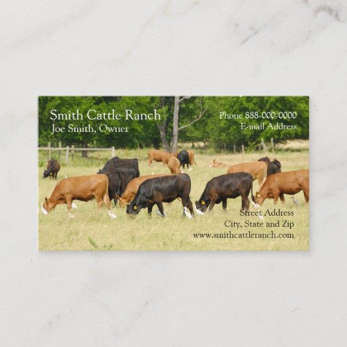 Cattle Dairy Farmer Business Card