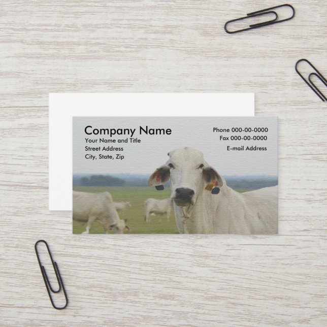 Cattle Dairy Farmer Business Card (Front/Back In Situ)
