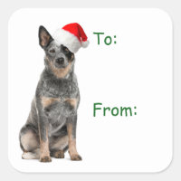 Cattle Dog Christmas Gift Stickers