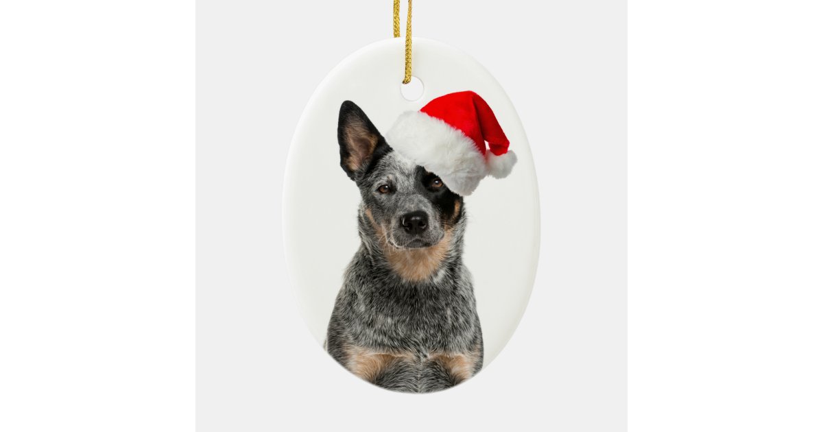 Cattle Dog Christmas Ornament | Zazzle
